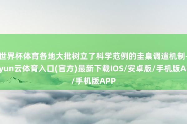 世界杯体育各地大批树立了科学范例的圭臬调遣机制-开yun云体育入口(官方)最新下载IOS/安卓版/手机版APP